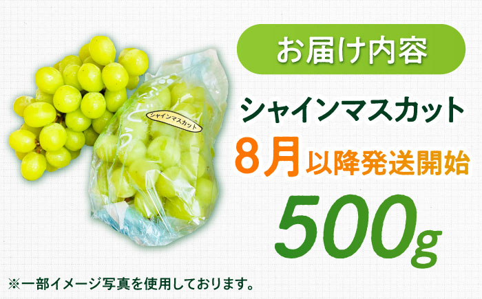 【2026年発送 先行予約】シャインマスカット 500g / フルーツ / 佐賀県 / リフルット株式会社 [41ABAA012]