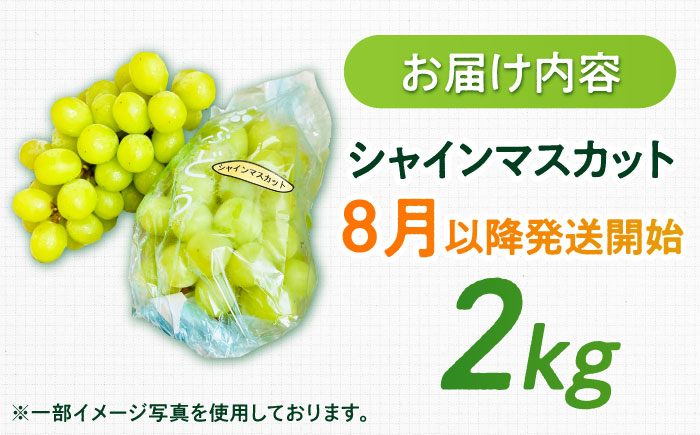【2026年発送 先行予約】シャインマスカット 2kg / フルーツ / 佐賀県 / リフルット株式会社 [41ABAA014]