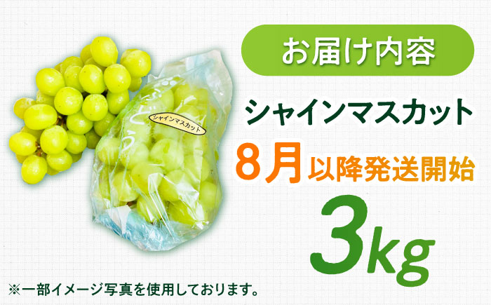 【2026年発送 先行予約】シャインマスカット 3kg / フルーツ / 佐賀県 / リフルット株式会社 [41ABAA015]