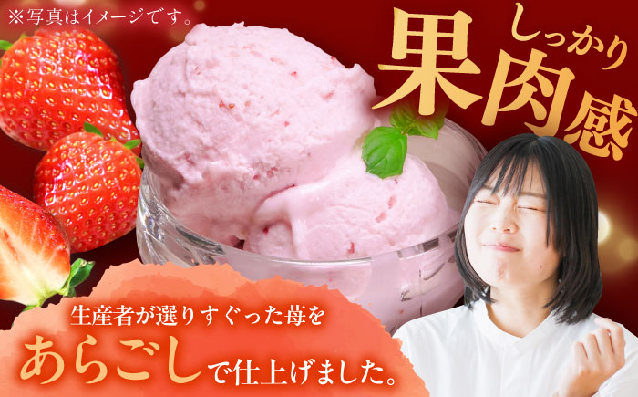 【2026年発送分 先行予約】苺好きが夢中！THE ICHIGO  苺感たっぷりプレミアム苺アイスクリーム  計8個 / スイーツ / 佐賀県 / リフルット株式会社 [41ABAA018]