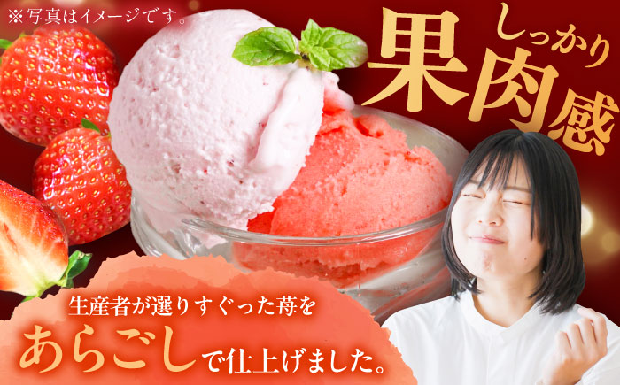 【2026年発送分 先行予約】苺好きが夢中！THE ICHIGO プレミアム苺アイスクリーム＆シャーベット 計8個  / スイーツ / 佐賀県 / リフルット株式会社 [41ABAA020]