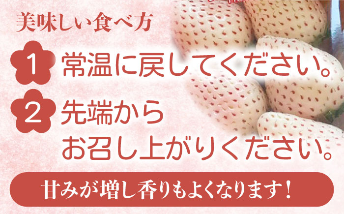 【2026年2月から発送分 先行予約】【幻の白いちご】【化粧箱入り】白い宝石 約450g / フルーツ / 佐賀県 / 手島農園 [41ABAB005]