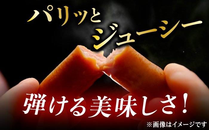 【ロマ佐賀】DLGコンテストで金賞獲得！あらびきウインナー 計40本（80g×10パック）/ 加工肉 / 佐賀県 / 有限会社ふるさと倶楽部 [41ABCM008]