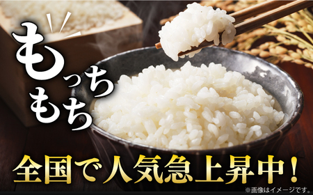 令和7年産 さがびより 白米 計4kg（2kg×2袋） / 精米 / 佐賀県 / 株式会社森光商店 [41ACBW005]