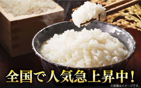 令和7年産 さがびより 白米 計6kg（2kg×3袋） / 精米 / 佐賀県 / 株式会社森光商店 [41ACBW009]