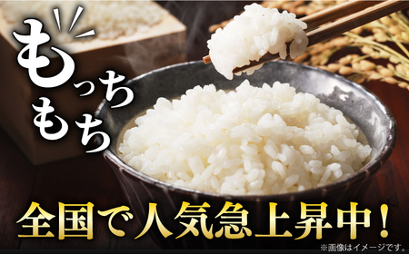 【全6回定期便】令和7年産 さがびより 白米 計12kg（2kg×1袋×6回）/ 精米 / 佐賀県 / 株式会社森光商店 [41ACBW039]