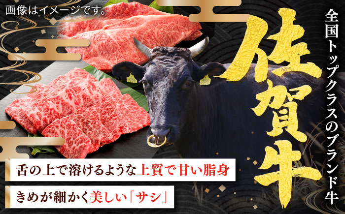 全国トップクラスのブランド牛！佐賀牛 サーロインステーキ 計500g（250g×2枚） / 牛肉 / 佐賀県 / ヤマサン食品 [41ADAA004]