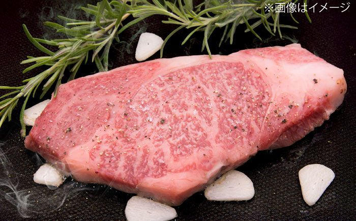 佐賀牛 ロースステーキ 500g（250g×2枚） / 牛肉 / 佐賀県 / 織田精肉店 [41ADAB002]