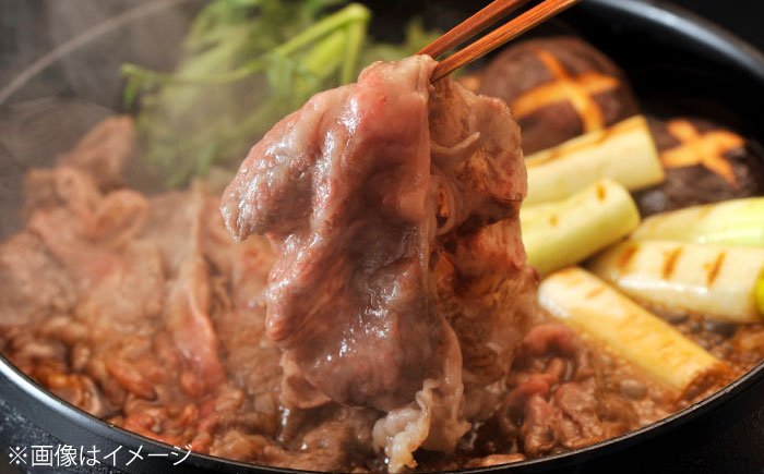 佐賀牛 ももスライス 1kg （500g×2P） / 牛肉 / 佐賀県 / 織田精肉店 [41ADAB006]