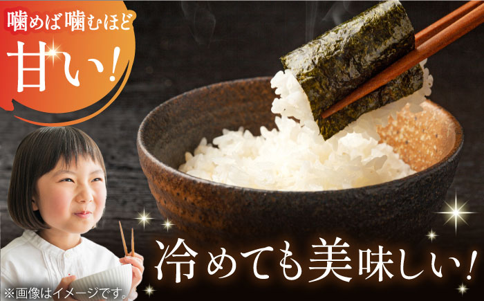 【全6回定期便】無洗米さがびより 白米 計60kg（5kg×2袋×6回）/ お米 / 佐賀県 / 株式会社JA食糧さが [41ADAR011]