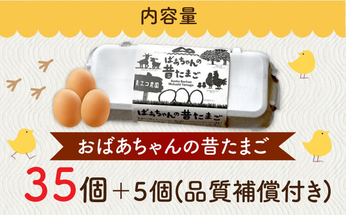 ばあちゃんの昔たまご 35個+5個（品質補償付き） / 卵 / 佐賀県 / 素ヱコ農園 [41AEAA002]