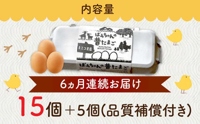 【全6回定期便】ばあちゃんの昔たまご 計120個（15個+5個×6回（品質補償付き）） / 卵 / 佐賀県 / 素ヱコ農園 [41AEAA005]