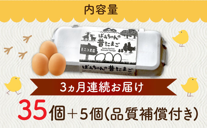 【全3回定期便】ばあちゃんの昔たまご 計120個（35個+5個×3回（品質補償付き）） / 卵 / 佐賀県 / 素ヱコ農園 [41AEAA007]