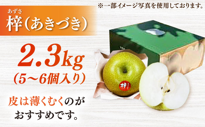 【2026年発送分 先行予約】【化粧箱入り】梓（あきづき）5-6個入（約2.3kg） / 梨 / 佐賀県 / 大川三世代 [41AEAB002]