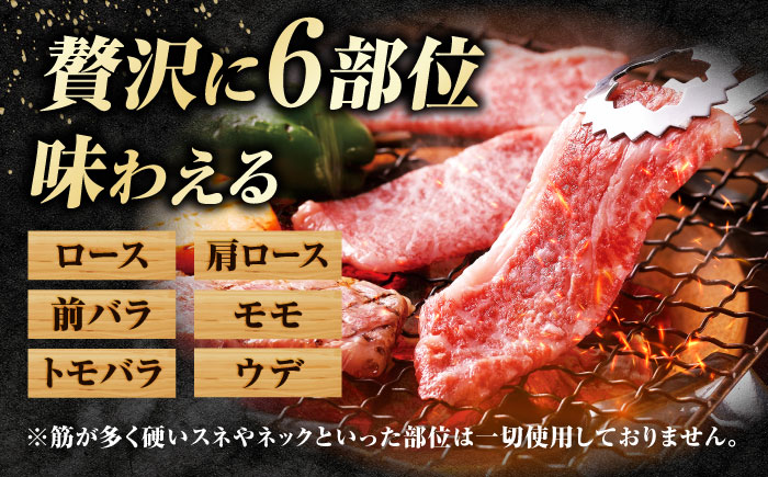 【ロマ佐賀】【全12回定期便】【訳あり】佐賀牛 焼肉用 切り落とし 1kg / 牛肉 / 佐賀県 / 有限会社片岡精肉店 [41AEAC003]