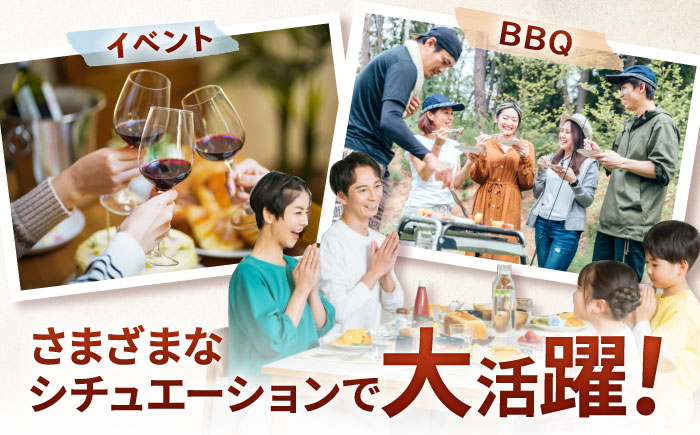 【ロマ佐賀】厳選佐賀牛ヒレ1本5kg / 牛肉 / 佐賀県 / 有限会社片岡精肉店 [41AEAC013]