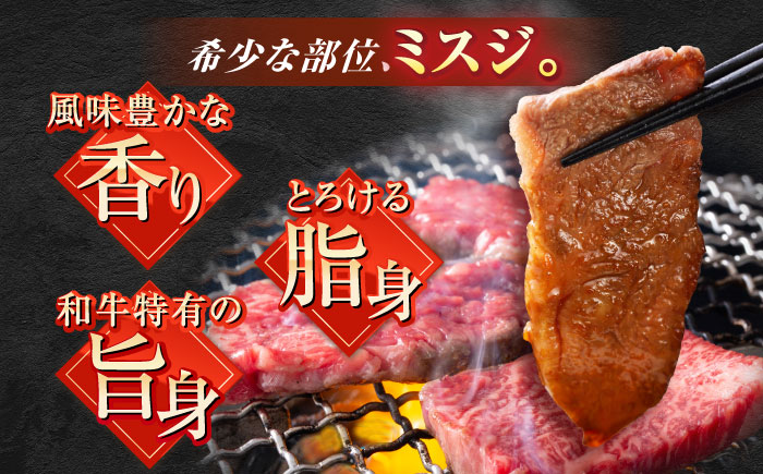 【ロマ佐賀】厳選佐賀牛ミスジ焼肉500g / 牛肉 / 佐賀県 / 有限会社片岡精肉店 [41AEAC014]