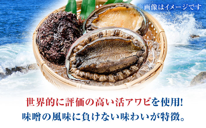 活あわびのみそ漬け 6粒+味噌150g / 魚介類 / 佐賀県 / 株式会社拓水 伊万里クルマエビセンター [41AEAJ002]