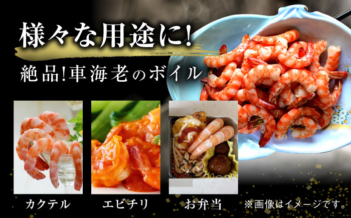【数量限定】伊万里産 車海老のボイル（尾付きムキえび） 計500g（250g×2袋） / 佐賀県 / 株式会社拓水 伊万里クルマエビセンター [41AEAJ005]