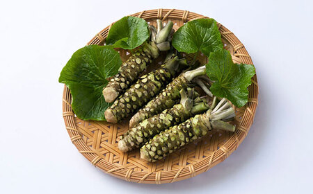 多良岳わさびドレッシング280ml×6本 / 調味料 / 佐賀県 [41AECT001]