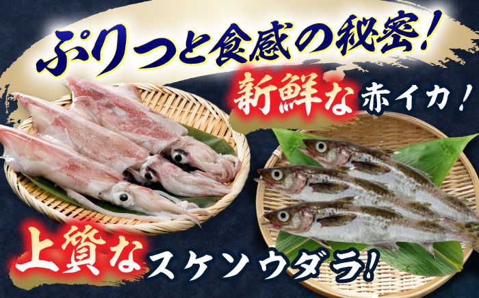 【化粧箱入り】いかしゅうまい（8個入り×4箱） / 惣菜 / 佐賀県 [41AECT002]