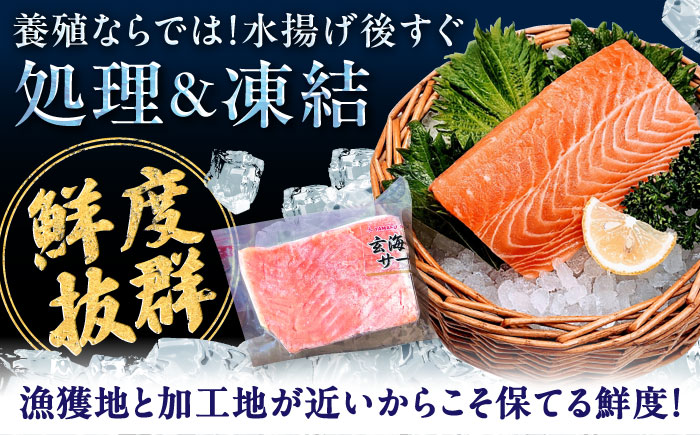 玄海サーモン柵80g×6袋 / 魚介類 / 佐賀県 / 株式会社九州特産品販売 [41AECT008]