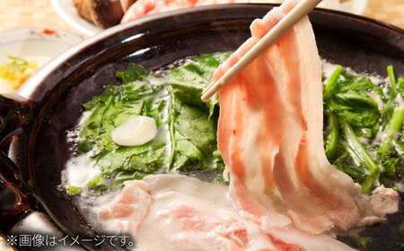 佐賀県産 若楠三元豚 切り落とし 計1kg（250g×4パック） / 豚肉 / 佐賀県 / 株式会社ナチュラルフーズ [41AFAB002]