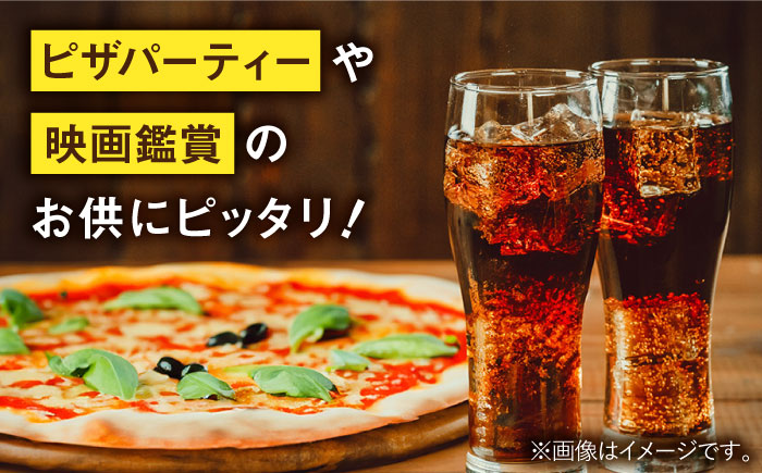 【全2回定期便】コカ・コーラ PET 500ml×24本 / 炭酸飲料 コーラ ジュース / 佐賀県 / コカ・コーラボトラーズジャパン株式会社 [41AFAO047]