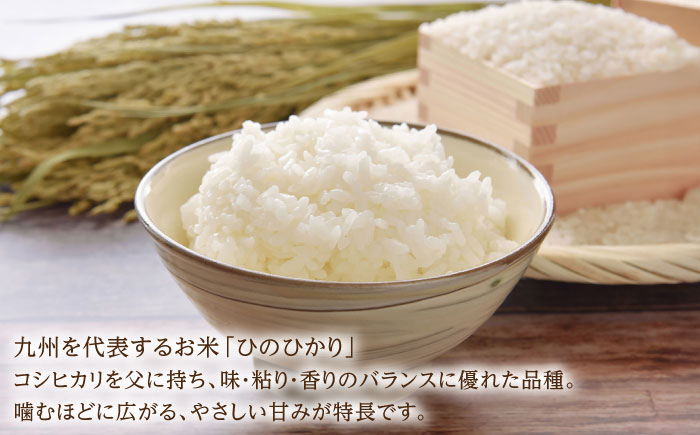令和7年産 ひのひかり5kg 白米 / 精米 / 佐賀県 / 有限会社中島商店 [41AGAC003]