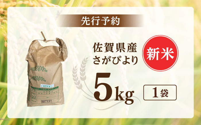 令和7年産 さがびより5kg 白米 / 精米 / 佐賀県 / 有限会社中島商店 [41AGAC007]