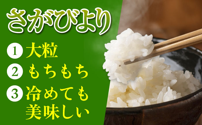 【全5回定期便】令和7年産 ななしま家 さがびより 5kg×2袋 / 精米 特別栽培 / 佐賀県 / 有限会社七島農産 [41AHAC008]