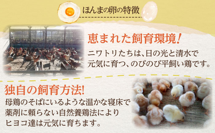 平飼いニワトリの有精卵！ほんまの卵 40個（10個×4パック） / たまご / 佐賀県 / 本間農園 [41AJAA003]