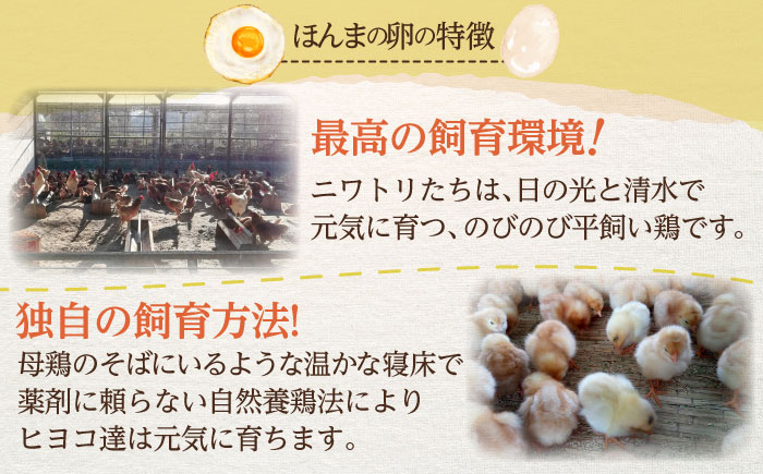 平飼いたまご使用！たまごやさんのおひさまプリン 10個 / スイーツ / 佐賀県 / 本間農園 [41AJAA005]