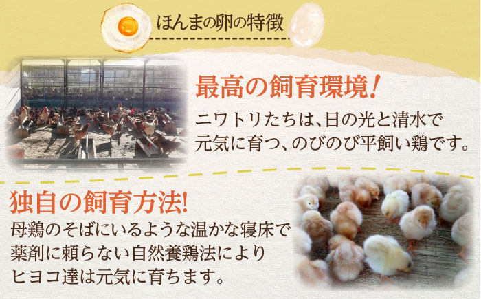 【全3回定期便】平飼いニワトリの有精卵！ほんまの卵定期便 計60個（20個×3回） / たまご / 佐賀県 / 本間農園 [41AJAA019]