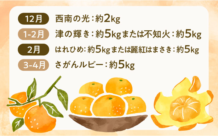 旬の柑橘類 / フルーツ / 佐賀県 / 一般社団法人龍乃 [41ANAC098]