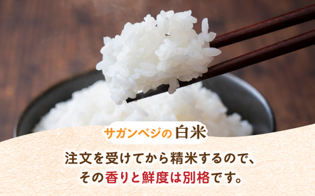 【全6回定期便】ビーガン米 白米 計60kg（10kg×6回） / 佐賀県 / 株式会社サガンベジ [41ANCH008]
