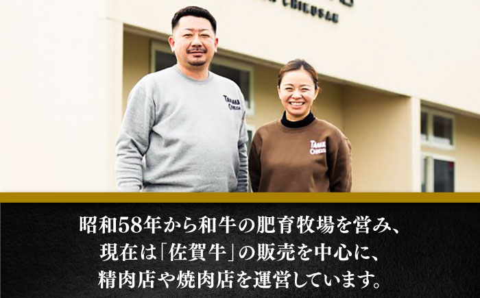 佐賀牛ヒレサイコロステーキ400g / 牛肉 / 佐賀県 / 田中畜産牛肉店 [41ARAA010]