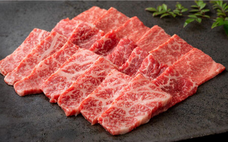 【ロマ佐賀】焼肉とステーキセット！佐賀牛希少部位焼肉600gと赤身ステーキ600g 計1.2kg / 牛肉 / 佐賀県 / 有限会社佐賀セントラル牧場 [41ASAA045]