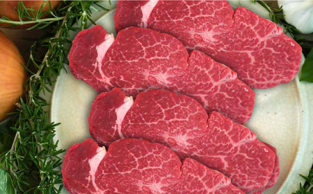 【ロマ佐賀】【全6回定期便】佐賀牛ヒレステーキ300gとステーキ600g 計5.4kg / 牛肉 / 佐賀県 / 有限会社佐賀セントラル牧場 [41ASAA055]