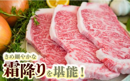 【ロマ佐賀】【全3回定期便】佐賀牛 至福の切り落としとサーロインステーキ食べ比べ 計2.1kg / 牛肉 / 佐賀県 / 有限会社佐賀セントラル牧場 [41ASAA233]