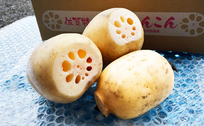 【金賞受賞！】真空パック 松尾青果のこだわり白石れんこん 約1kg(4-8個) / れんこん 蓮根 レンコン 野菜 根菜 / 佐賀県 / 松尾青果 [41ASAB001]