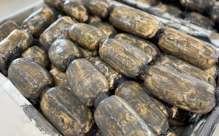 【金賞受賞！】泥付き 松尾青果のこだわり白石れんこん 約3kg / れんこん 蓮根 レンコン 野菜 根菜 / 佐賀県 / 松尾青果 [41ASAB002]