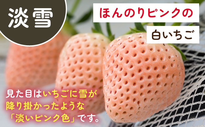 【2026年発送分 先行予約】淡雪・こころの色 白いちごプレミアム 計440g（220g×2パック）/ 佐賀県 / 岸川農園 [41ASAG007]