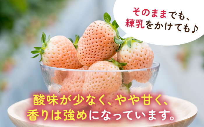 【2026年発送分 先行予約】淡いピンクの白いちご「淡雪」220g×4パック / フルーツ / 佐賀県 / 岸川農園 [41ASAG013]