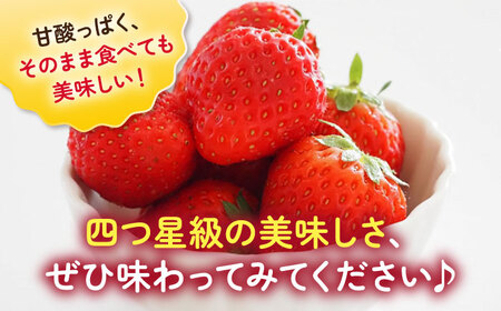 【2026年発送分 先行予約】よつぼし（220g×2パック）/ いちご / 佐賀県 / 岸川農園 [41ASAG038]