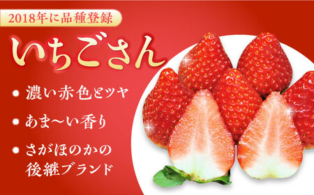 【2026年発送分 先行予約】【交互にお届け】【全4回定期便】いちごさん・パールホワイト / フルーツ / 佐賀県 / かわさきいちご [41ASBJ005]