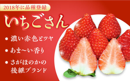 【2026年発送分 先行予約】【全3回定期便】いちごさん・パールホワイト各220g 詰め合わせ / フルーツ / 佐賀県 / かわさきいちご [41ASBJ008]