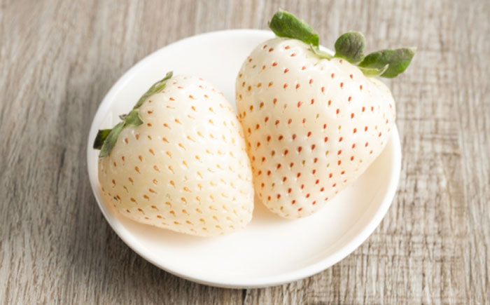 【先行予約】恋みのり・こころの色 220g×2パック（各1パック） / いちご / 佐賀県 / 鐘ヶ江農園 [41ASBK007]