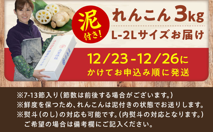 【年末発送】田島屋れんこん 3kg（泥付き）/ 蓮根 / 佐賀県 / 田島屋れんこん [41ASDA003]