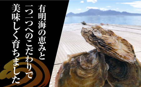 竹崎産 ブランド生牡蠣「ゆり姫」5kg（ナイフ付き）/ かき / 佐賀県 / 宗徳丸 [41ATAF004]
